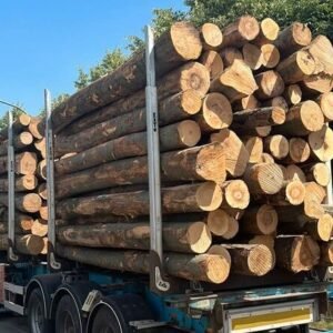 Buchenstammholz PEFC Hochwertiges