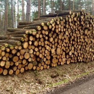 Eichenstammholz PEFC Hochwertiges