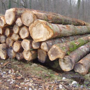 Eschenstammholz PEFC Hochwertiges
