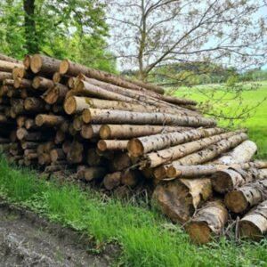 Fichtenstammholz PEFC Hochwertiges