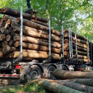 Nadelholz  PEFC Hochwertiges
