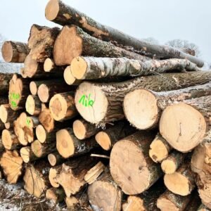 KieferStammholz PEFC Hochwertiges