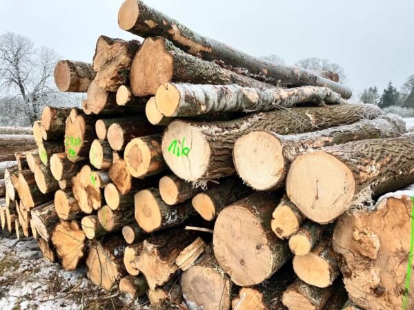 KieferStammholz PEFC Hochwertiges